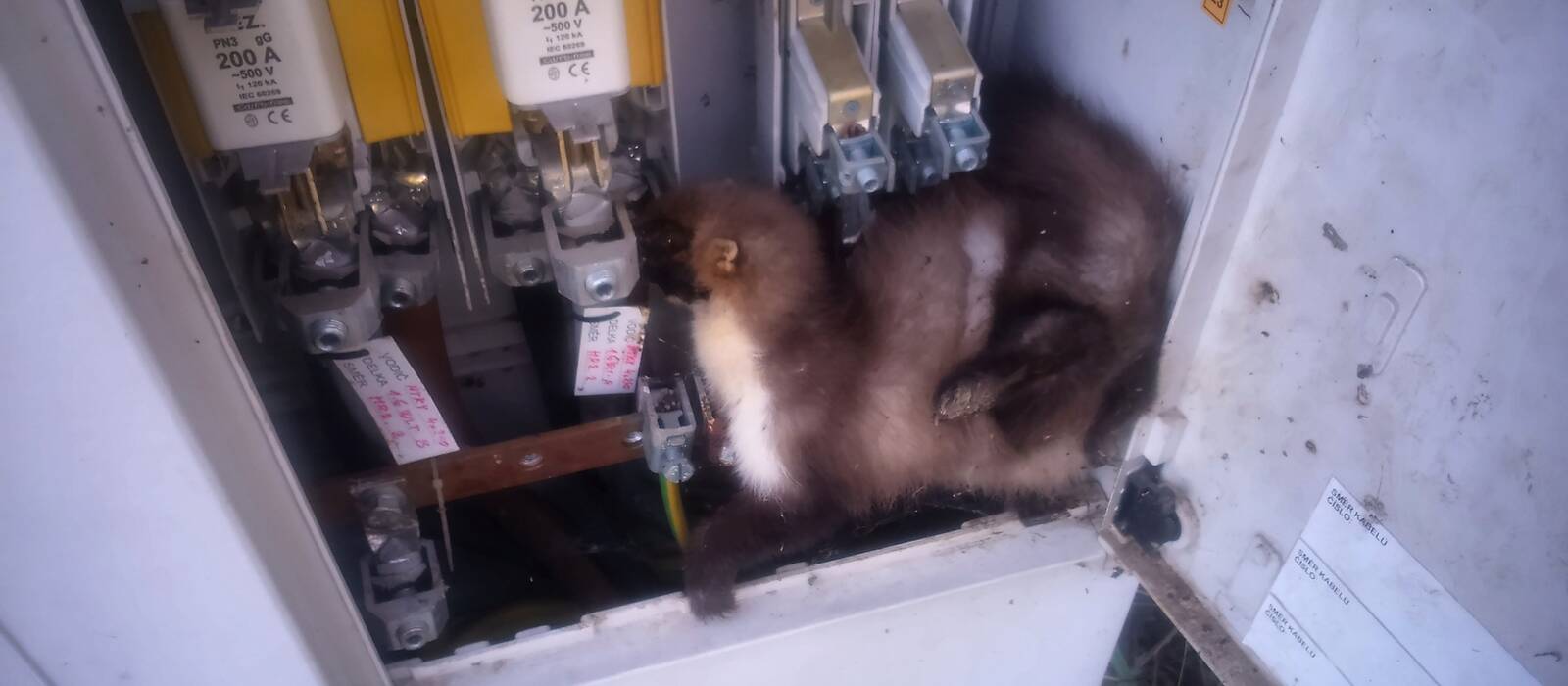 Servis a revize FVE: bezpečný provoz fotovoltaické elektrárny nezačíná v aplikaci, ale u technologie