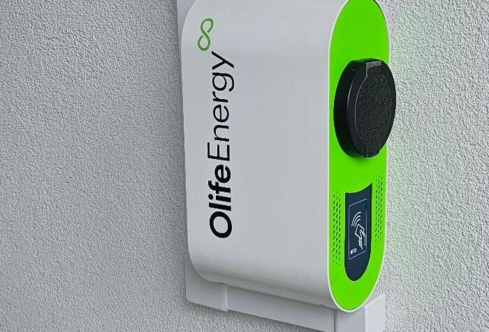 Reference: Inteligentní fotovoltaický systém s GreenBoxem a podporou pro elektromobily - Liberec